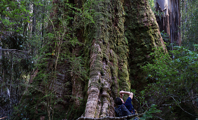 ����: ������ �., Flickr, CC BY 2.0